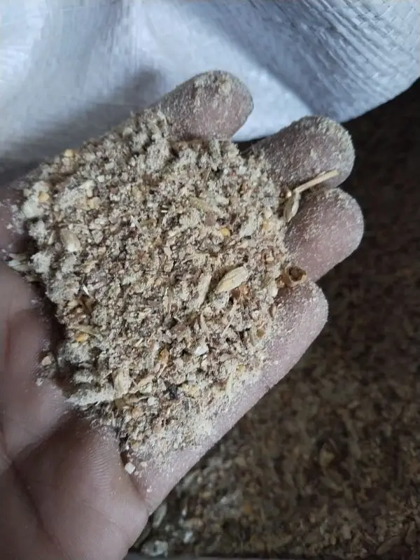 animal alll food available — photo 3
