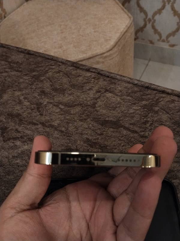 iphone 12 Pro Max pta approved 6