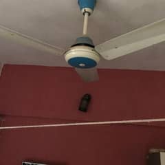 Ceiling fans for sale Royal & Super asia