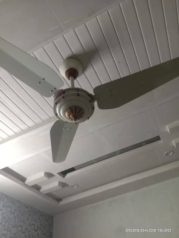 Ceiling fans New Wahid Fans 0