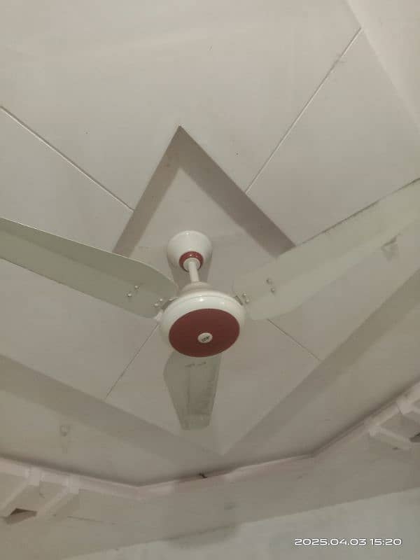 Ceiling fans New Wahid Fans 1