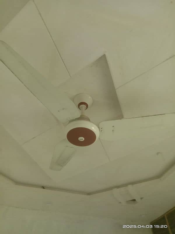 Ceiling fans New Wahid Fans 3