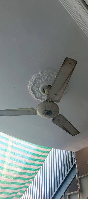 4 ceiling fans for sale 1
