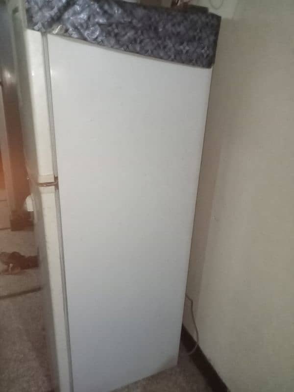 Nofrost fridge for sale 4