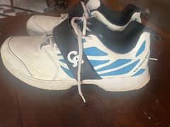 CA Big Bang Max Spikes