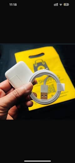 12 watt best charger for battery health maintanance