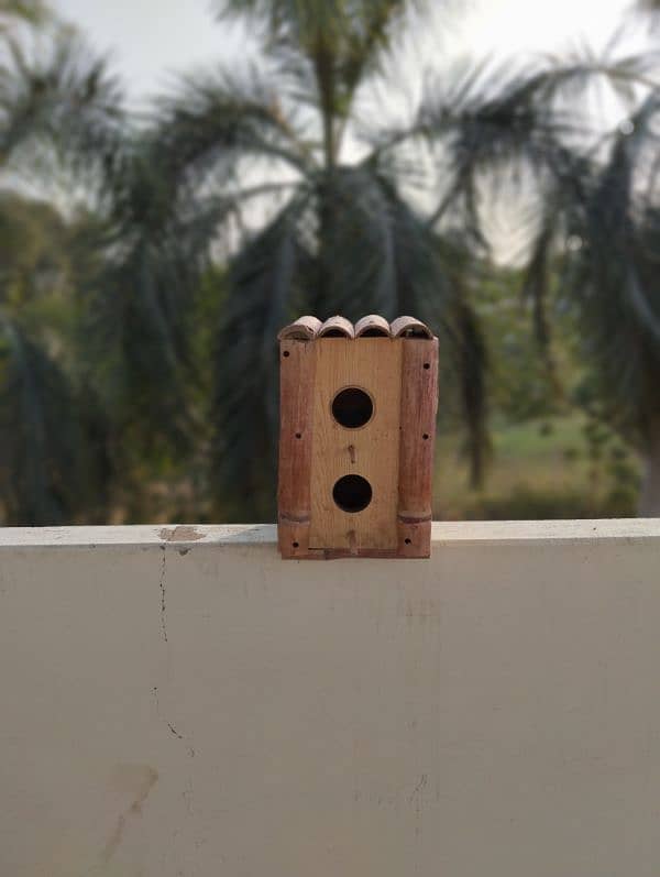 Bird house - 2 peigon holes. Very sturdy and solid Bamboo and Lasani. 2