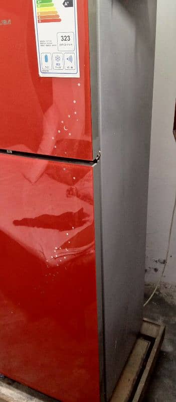 Medium size fridge 2