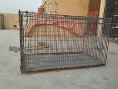 cages for sale