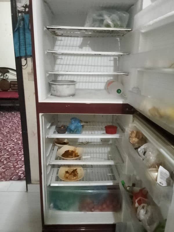 pel refrigerator 2