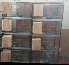 2 Cages available