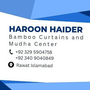Haroon Haider check center 