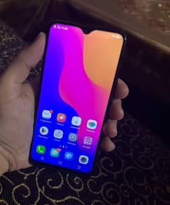 vivo