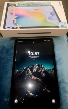 Samsung Tab S6 Lite original Pen included