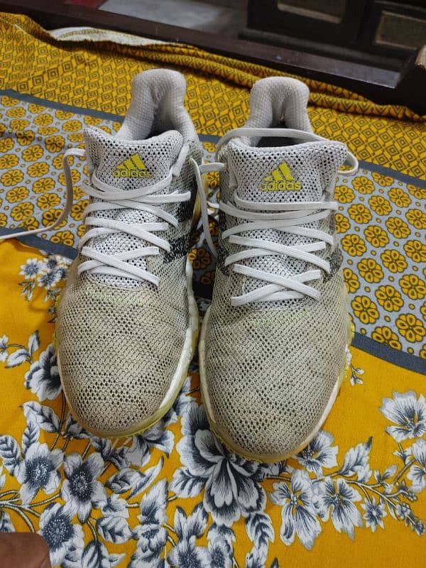 Adidas Codechaos 22 1