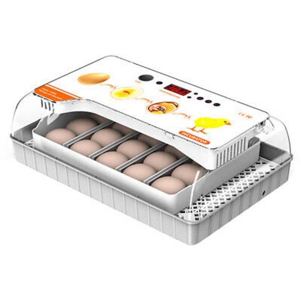 HHD 20 eggs incubator AC/DC 4