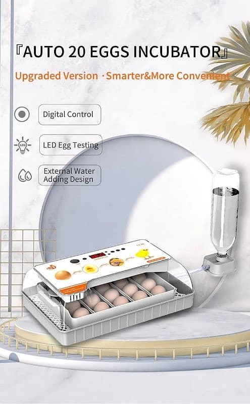 HHD 20 eggs incubator AC/DC 5