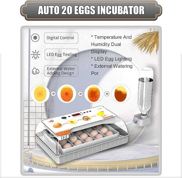 HHD 20 eggs incubator AC/DC 6