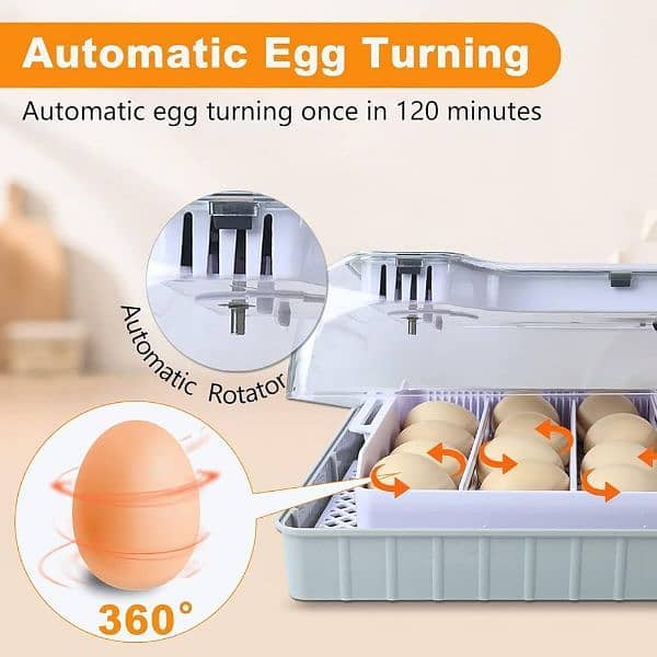 HHD 20 eggs incubator AC/DC 7