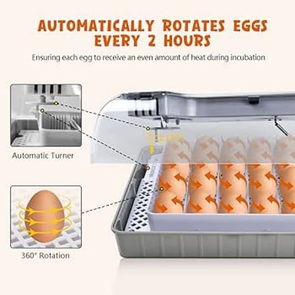 HHD 20 eggs incubator AC/DC 8