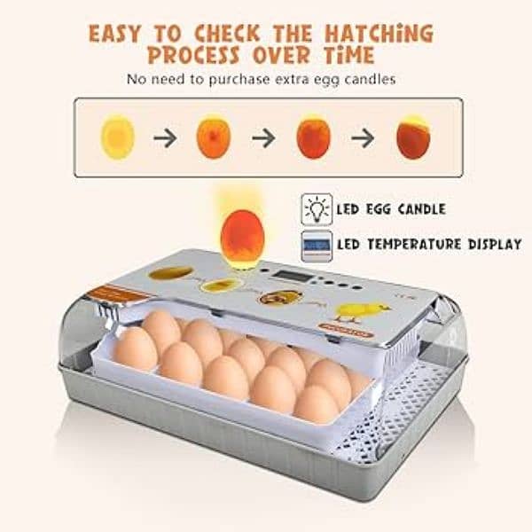 HHD 20 eggs incubator AC/DC 9