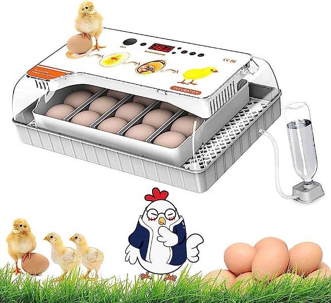 HHD 20 eggs incubator AC/DC 1