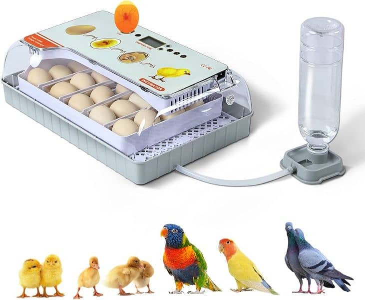 HHD 20 eggs incubator AC/DC 2