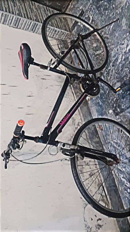 imported cycle 4