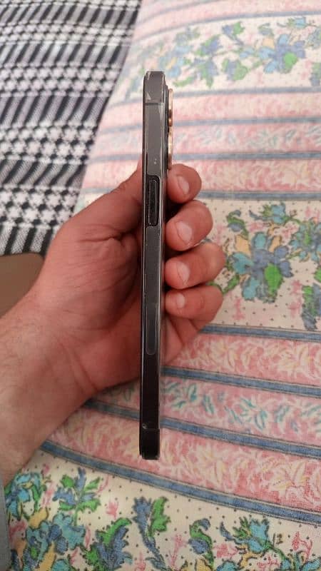 iPhone 12 pro max non pta jv fully updated 10 by 10 condition 2