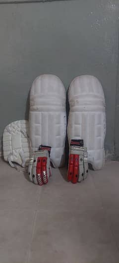 cricket pads,thigh pads and gloves