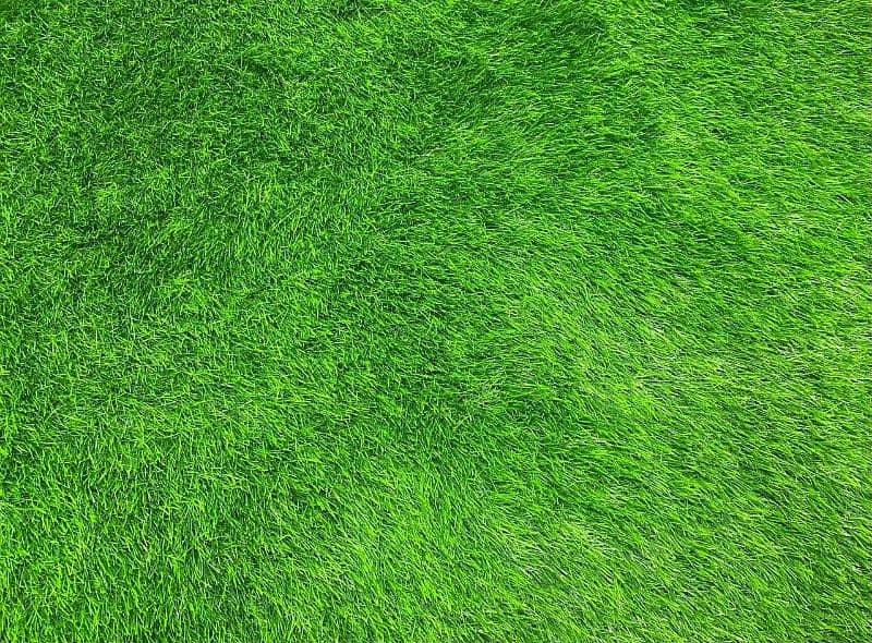 Artificial Wall Mat-Artificial Grass- Carpet Tile-Gym Flooring-Grass 4