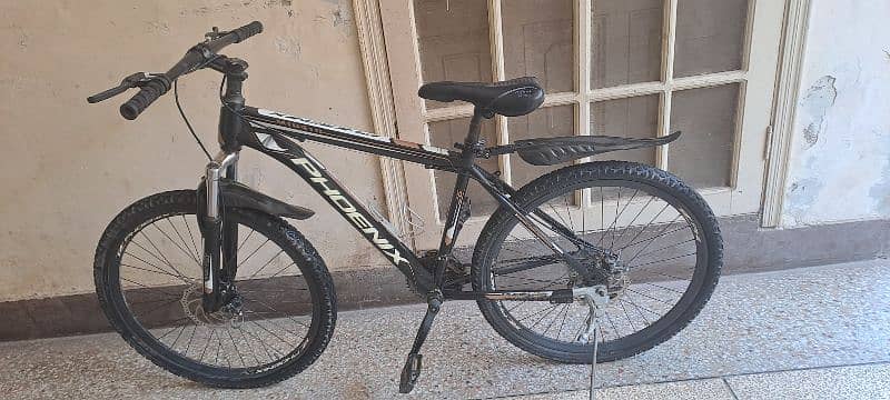 Phoenix Sport Bicycle 0