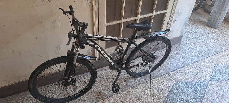 Phoenix Sport Bicycle 1