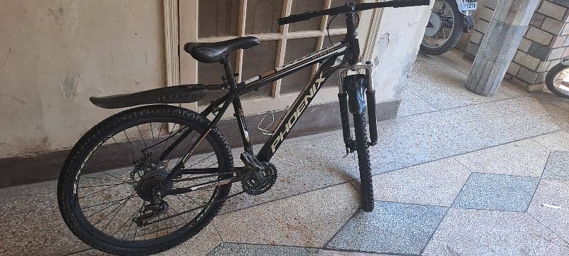 Phoenix Sport Bicycle 2