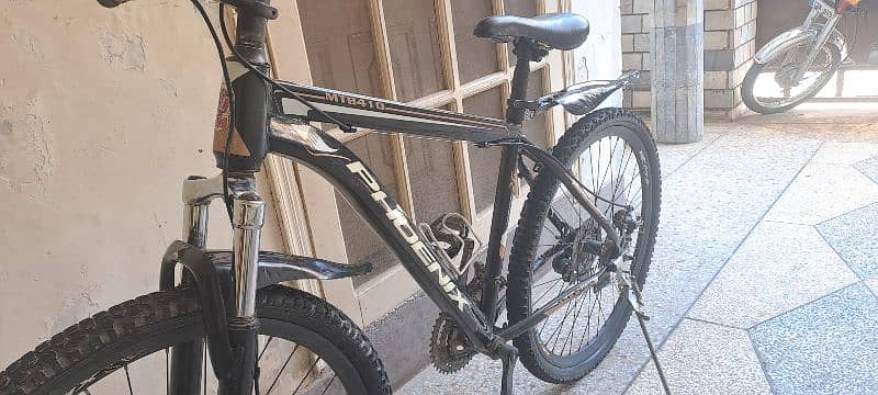 Phoenix Sport Bicycle 3