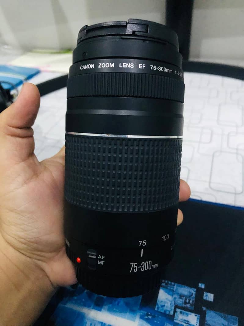 Cannon 80D with (Whole Kit) 1