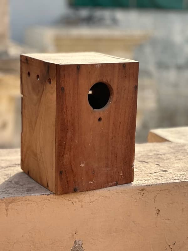 Love Bird Breeding Box Keekar Lakri heavy 0
