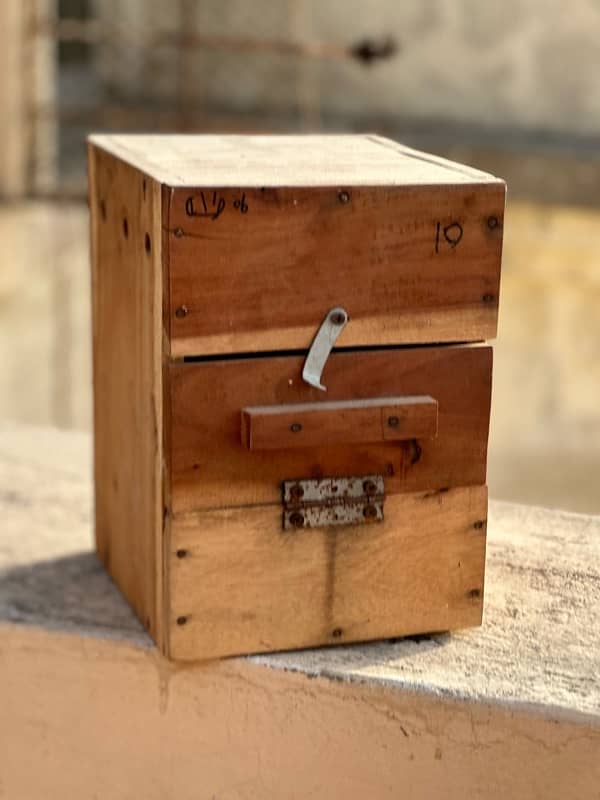 Love Bird Breeding Box Keekar Lakri heavy 1