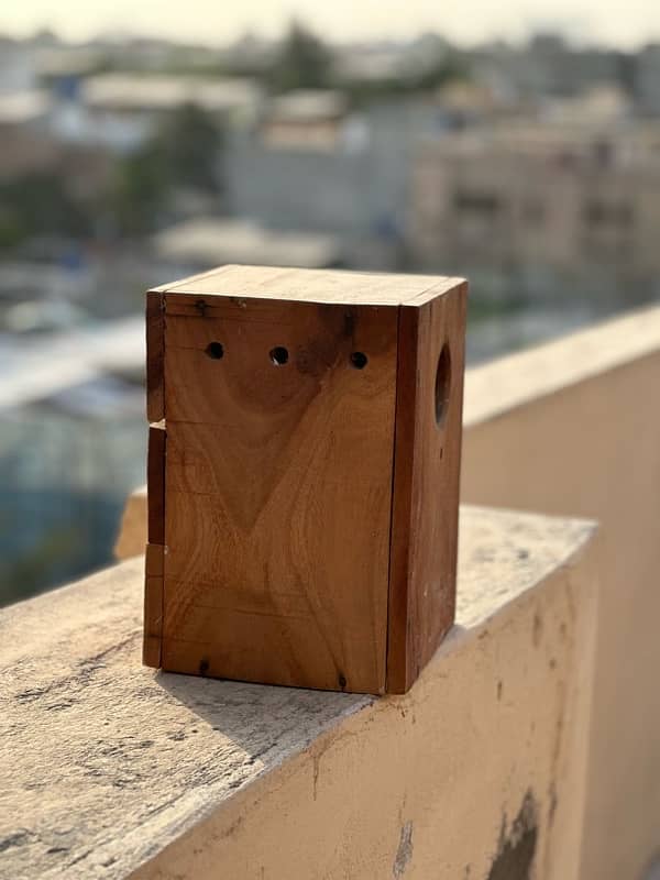 Love Bird Breeding Box Keekar Lakri heavy 2