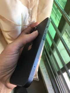 iphone 13 (factory unlocked)