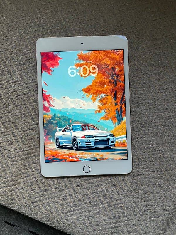 Ipad Mini5 | 256Gb 4