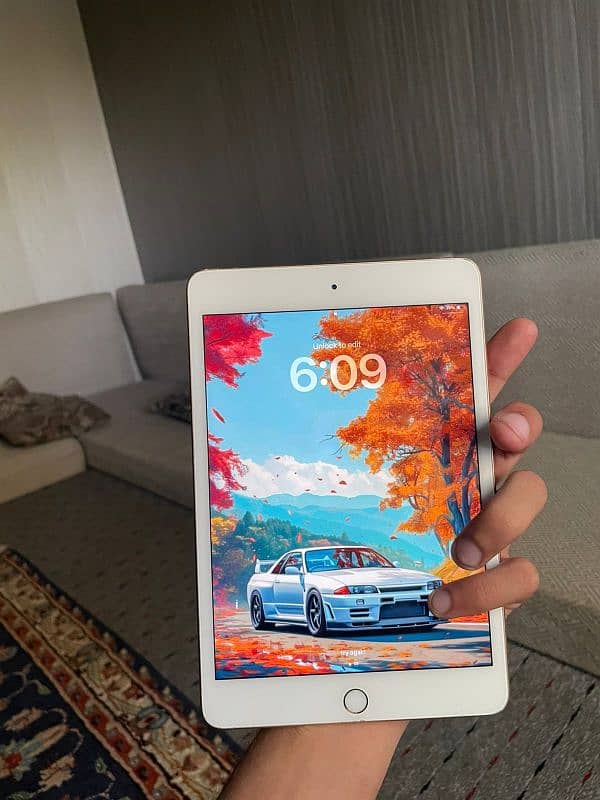 Ipad Mini5 | 256Gb 5