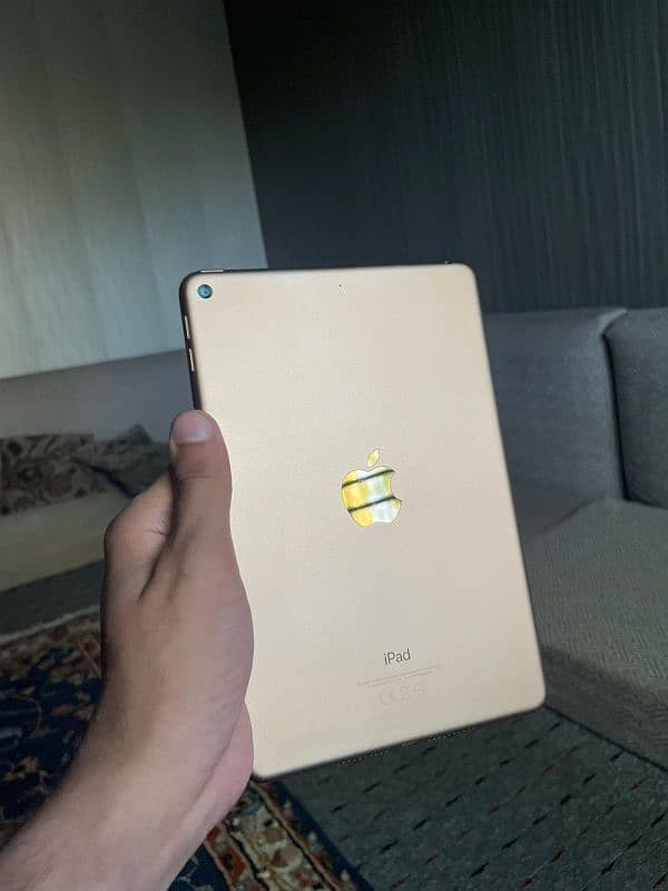 Ipad Mini5 | 256Gb 6