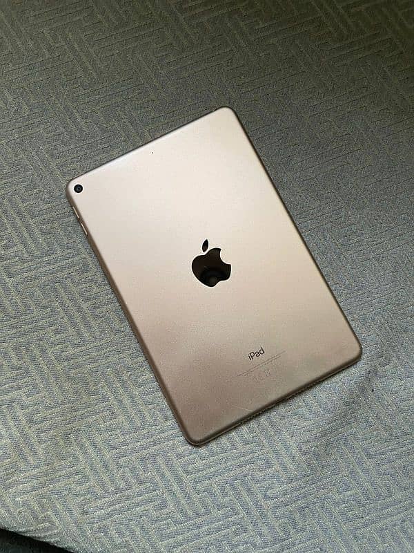 Ipad Mini5 | 256Gb 7