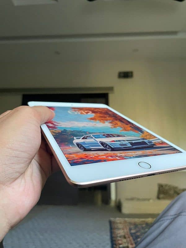 Ipad Mini5 | 256Gb 8