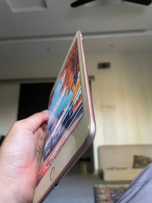 Ipad Mini5 | 256Gb 9