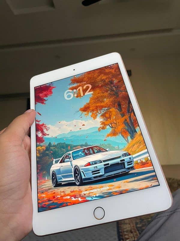 Ipad Mini5 | 256Gb 10