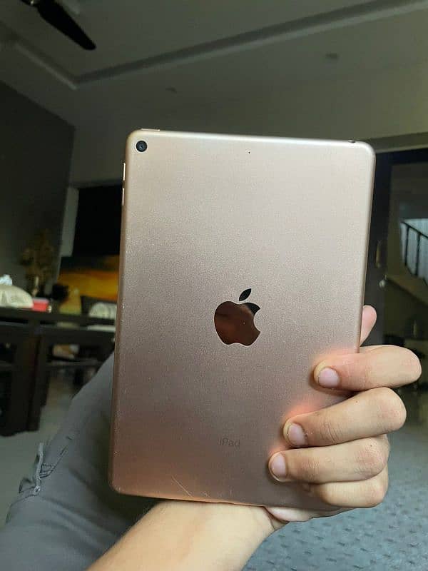 Ipad Mini5 | 256Gb 12