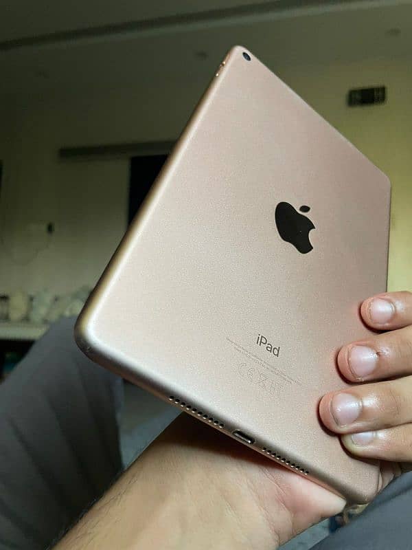 Ipad Mini5 | 256Gb 13