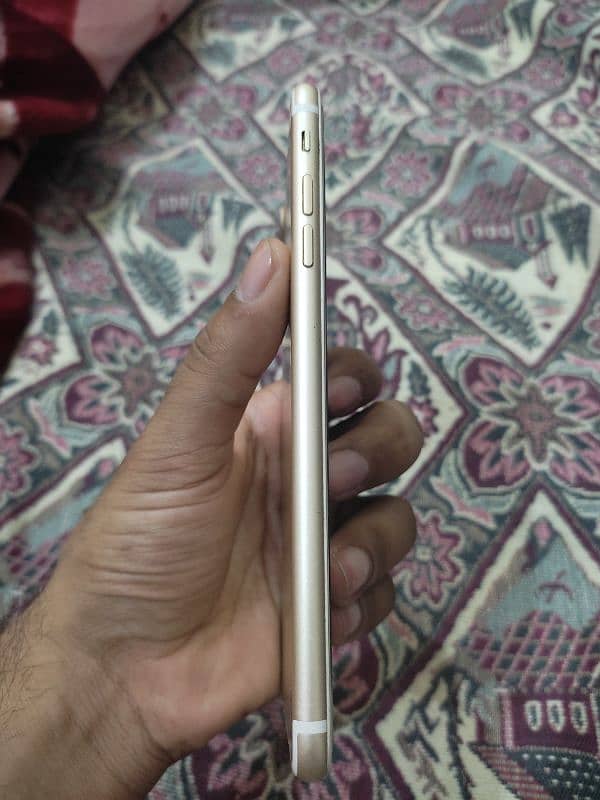 iPhone 7 plus pta approved 5